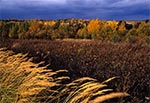 Roztocze Szczebrzeszyńskie - wnętrze regionu