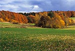 Roztocze Środkowe - okolice Kosobud