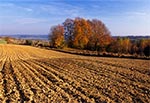 Roztocze Szczebrzeszyńskie - wnętrze regionu