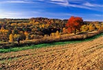 Roztocze Szczebrzeszyńskie - wnętrze regionu