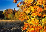 Roztocze Szczebrzeszyńskie - wnętrze regionu