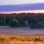 Jesienne Dahany o świcie. Miejsce to miało w swej historii okres zapomnienia, kiedy wizyta tam oznaczała gwarantowaną samotność dla odwiedzających. Obecnie staje się zbyt tłoczne - nie tylko podczas wakacji ale zwłaszcza kiedy nadchodzi Złota Polska Jesień.