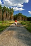 Puszcza Solska - rowerowy raj. Bez psów i samochodów.