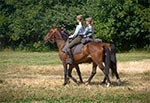 Inscenizacja bitwy pod Komarowem