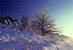 Piękna zima roztoczańska - rezerwat Kąty