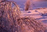 Lodowa okiść - stoki Bukowej Góry