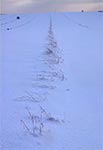 Śniegu napadało tak dużo, że miedza jest ledwo widoczna - pola na północ od wsi Stanisławów