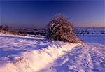 Widok z Bukowej Góry pamiętnej zimy, kiedy drzewa były krystaliczne od lodu, zaś niebo krystalicznie czyste. Takie warunki zdarzają się raz na dziesięciolecia