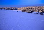 Rozległa panorama lasów RPN z Wysokiej Góry