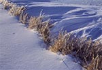 "Zlodowaciała" miedza - rejon wsi Wychody, pod Zamościem