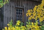 Cerkiew greckokatolicka pw. Zaśnięcia Matki Bożej w Żmijowiskach, z 1786r.