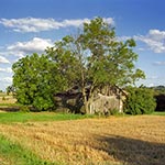 Między miejscowościami Wierzbie a Pniówek pod Zamościem