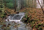 Na zdjęciu widzimy miejsce gdzie niegdyś znajdował się młyn w Łówczy, a ten urokliwy potoczek to Łówczanka, która ma swe źródła w tej miejscowości, nie tak daleko stąd. Po młynie został tylko fragment tamy spiętrzającej niegdyś potok. Tak się szczęśliwie złożyło, że podczas fotografowania była odpowiedniej gęstości mgła, która ładnie zmiękczyła ostatni plan, nie przysłaniając jednak planu pierwszego