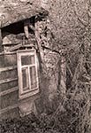 Rudera roztoczańska w Zaporzu koło Radecznicy. Nie istnieje już
