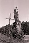 Po sfotografowaniu tego krzyża, przy resztkach starego drzewa, w miejscowości Jacków-Ogród koło Woli Wielkiej - coś tam poznikało i nie pamiętam już teraz czy to drzewo, czy krzyż - jedno jest pewne coś się tam zmieniło. Tak więc powstało kolejne zdjęcie archiwalne