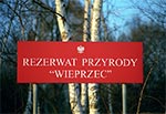 Rezerwat przyrody Wieprzec to kolejny przykład jak ekolodzy "chronią" przyrodę. Kiedyś była tu oaza - łąki z chronionymi roślinami, bo rolnicy prowadzili nrmalny wypas bydła. Zakazano wypasu, założono rezerwat i teraz mamy jako główny gatunek brzozę tak gęsto rosnąca, że przejść trudno