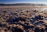 Bagno Obary koło Biłgoraja