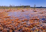 Bagno Obary koło Biłgoraja