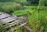 Źródlisko Potoku Łosinieckiego w Łosińcu kwalifikuje się do ochrony pomnikowej. Jest to źródło podzboczowe, o sposobie wypływu szczelionow - warstwowym. Woda ma 9 stopni Celsjusza, a wypływ około 40 litrów na sekundę. Leży na wsyokości 275 m.n.p.m. (Źródła Roztocza - Monografia hydrograficzna pod redakcją Zdzisława Michalkiewicza)