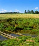 Źródło Sopotu w Husinach będące pomnikiem przyrody nieożywionej leży na wysokości 293,5 m n.p.m. Źródło to stosunkowo szybko reaguje na zasilanie atmosferyczne. Są w Husinach dwa źródła, to drugie jest jednak silnie zażelazione. (Źródła Roztocza - Monografia hydrograficzna pod redakcją Zdzisława Michalkiewicza)