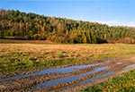 Droga na Roztoczu Zachodnim - okolice wsi Chłopków