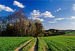 Na wierzchowinie Roztocza Środkowego - pola na północ od Bondyrza