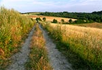 Wyjazd na wzgórza górujące nad Obroczą od południowego wschodu