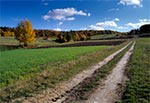 Droga na Wojdę od strony Kosobud