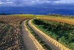 Szczebrzeszyński Park Krajobrazowy - okolice Szczebrzeszyna. Przez cały dzień nie było światła, bo widoczne na zdjęciu ciężkie chmury zasłaniały słońce. Pod koniec dnia powstała jakaś szczelina i słońce wyjrzało dosłownie na minutę. To zdjęcie przedstawia właśnie ten moment, kiedy już wracaliśmy bez nadziei na wykoananie jakiegokolwiek zdjecia tego dnia. Ledwo zdążyliśmy wyjąć sprzęt i zrobić zdjęcie, a słońce znowu zaszło za chmury