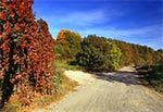 Skierbieszowski Park Krajobrazowy - okolice Sławęcina