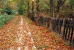 Mrzygłody na Roztoczu Wschodnim/Poludniowym. Płotku już od dawna nie ma, wszsytko co drewniane, klimatyczne błyskawicznie znika...