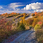 Obszar Natura 2000 Niedzieliska jesienią