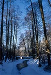 W głębi niedoszła tama na Tanwi w Rebizantach. Zdjęcie wykonane przy temp. -28st.C